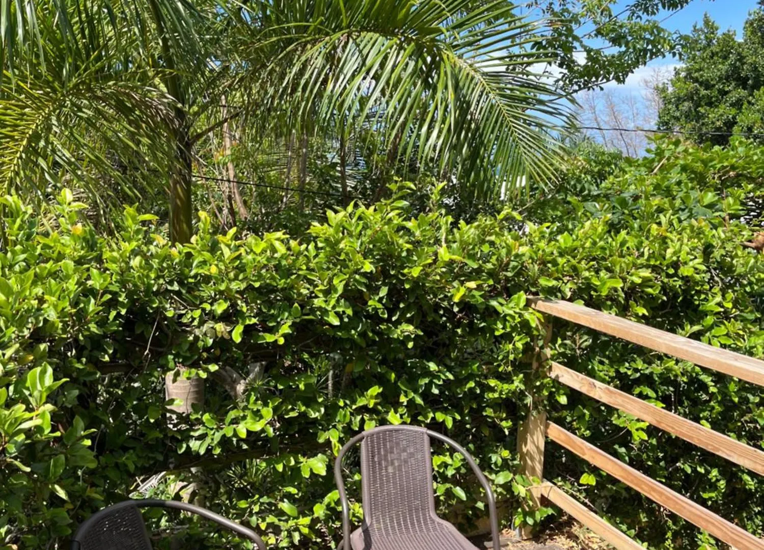Serenity Rincon Guesthouse Guest house